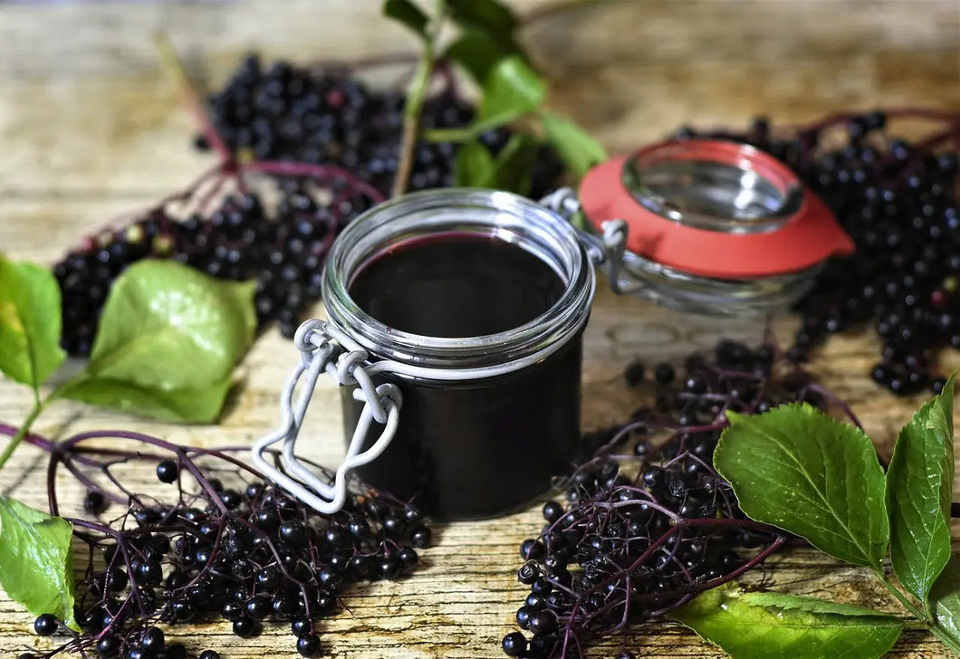 DIY Elderberry Syrup Kit